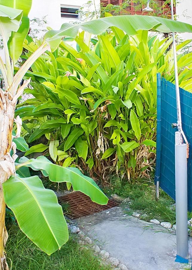 Avec Piscine Partagee Jardin Et Wifi A Anne A 3 Km De La